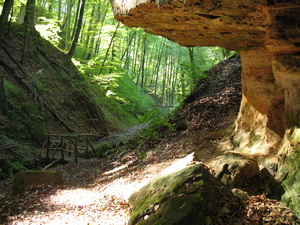 Der romantische Weg durch die Klingenberger Schlucht wechselt �ber �ber kleine Br�cken mehrmals die Uferseite des Baches